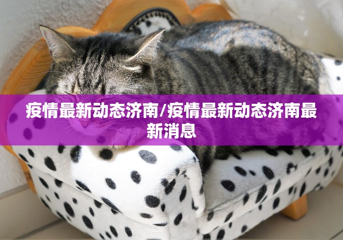 青岛莱西新增12例确诊63例无症状（青岛莱西疫情通报）