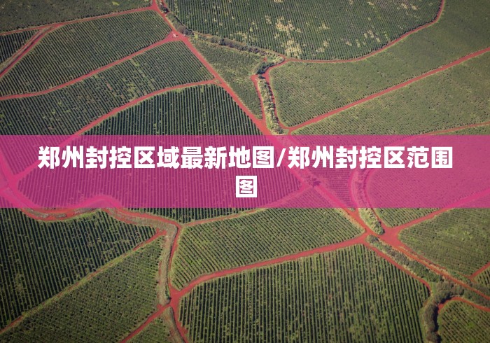 美国确诊病例超35000例/美国确诊病例破1000万例