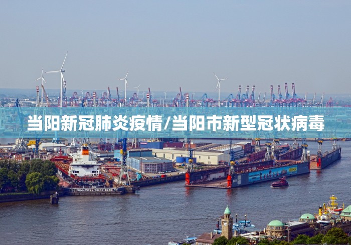 当阳新冠肺炎疫情/当阳市新型冠状病毒