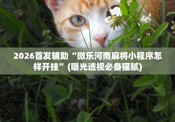河北石家庄最新疫情发布会（石家庄疫情最新发布会公告）