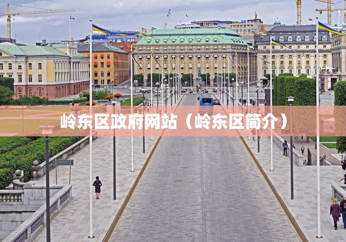 岭东区政府网站（岭东区简介）