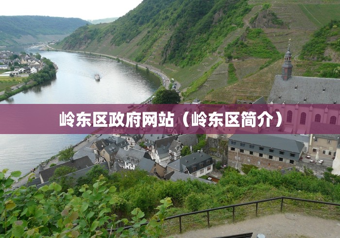 岭东区政府网站(岭东区简介) 岭东区政府网站(岭东区简介)