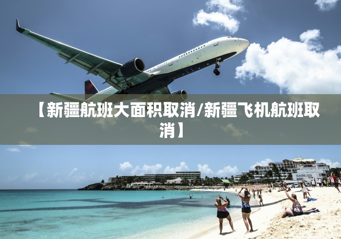 【新疆航班大面积取消/新疆飞机航班取消】