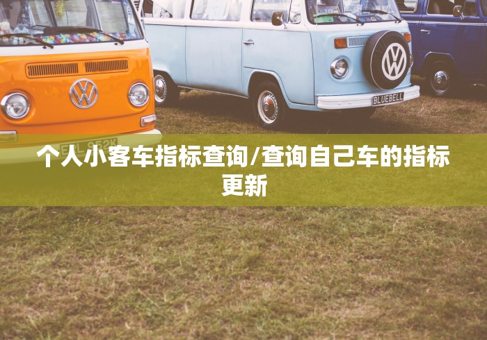 个人小客车指标查询/查询自己车的指标更新 个人小客车指标查询/查询自己车的指标更新