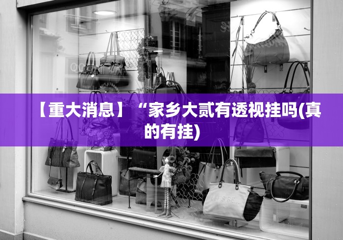 安装程序教程“手机麻将挂在哪里购买”开挂科技辅助神器手机
