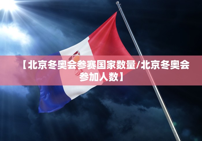 【北京冬奥会参赛国家数量/北京冬奥会参加人数】