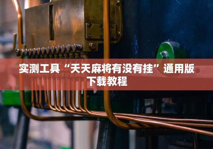 实操教程“手机麻将十打九赢专业神器”(透视)开挂辅助脚本+详细开挂安装教程