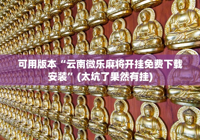 可用版本“云南微乐麻将开挂免费下载安装”(太坑了果然有挂)