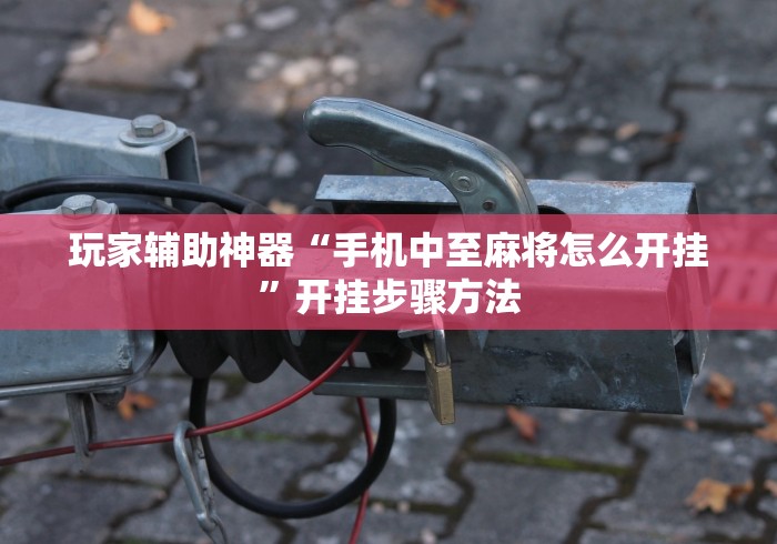 玩家辅助神器“手机中至麻将怎么开挂”开挂步骤方法