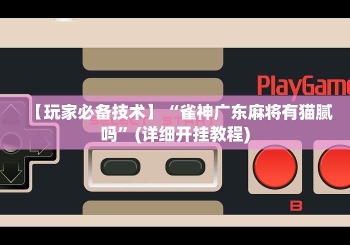 【玩家必备技术】“雀神广东麻将有猫腻吗”(详细开挂教程)