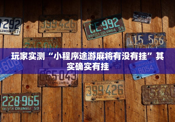 玩家实测“小程序途游麻将有没有挂	”其实确实有挂