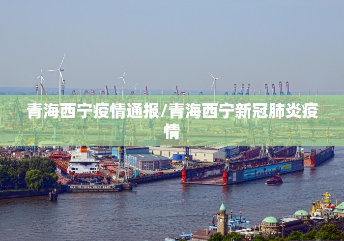 青海西宁疫情通报/青海西宁新冠肺炎疫情