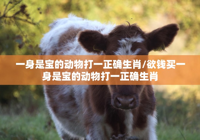 一身是宝的动物打一正确生肖/欲钱买一身是宝的动物打一正确生肖 一身是宝的动物打一正确生肖/欲钱买一身是宝的动物打一正确生肖