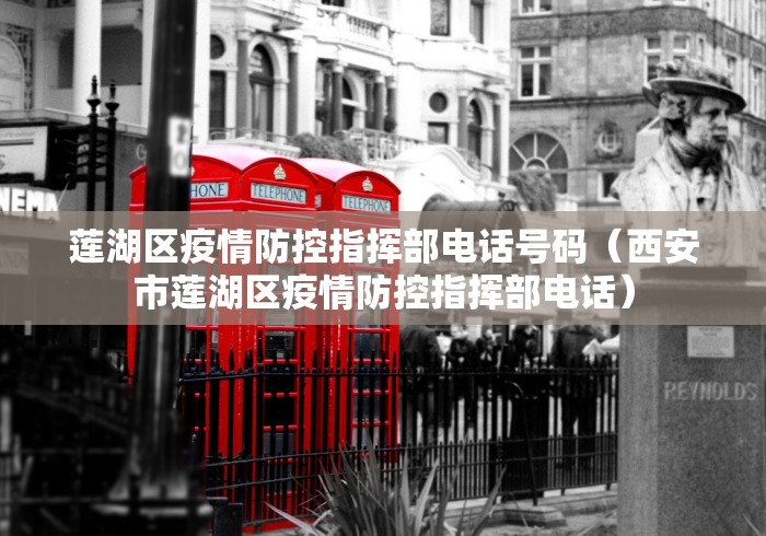 莲湖区疫情防控指挥部电话号码（西安市莲湖区疫情防控指挥部电话）
