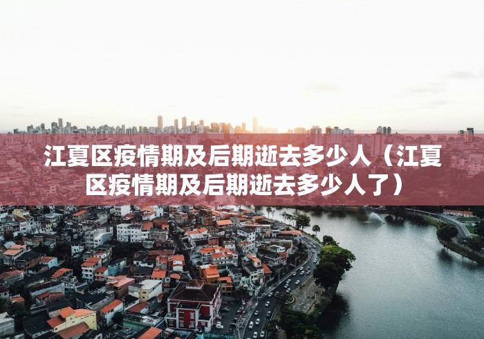 江夏区疫情期及后期逝去多少人（江夏区疫情期及后期逝去多少人了）