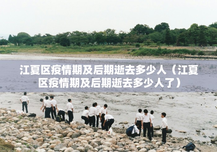 江夏区疫情期及后期逝去多少人（江夏区疫情期及后期逝去多少人了）