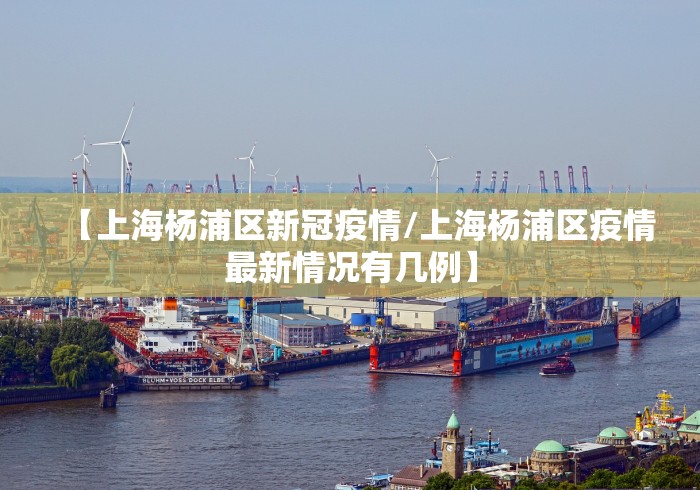 【上海杨浦区新冠疫情/上海杨浦区疫情最新情况有几例】