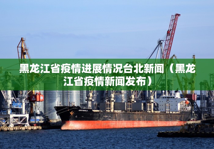 黑龙江省疫情进展情况台北新闻（黑龙江省疫情新闻发布）