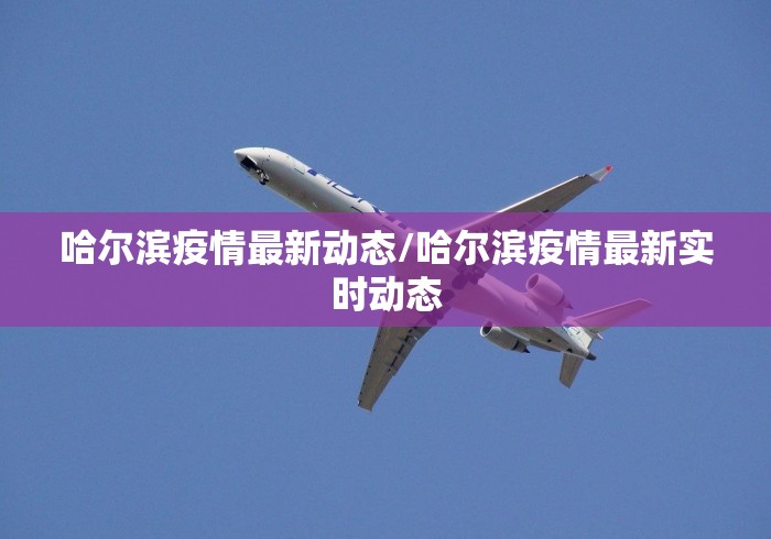 哈尔滨疫情最新动态/哈尔滨疫情最新实时动态
