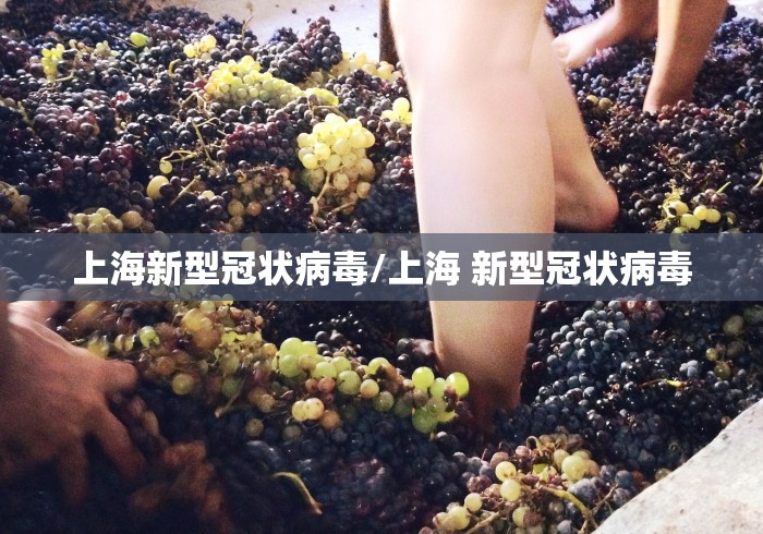 上海新型冠状病毒/上海 新型冠状病毒