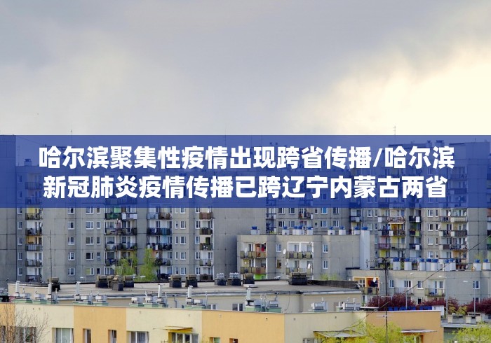 哈尔滨聚集性疫情出现跨省传播/哈尔滨新冠肺炎疫情传播已跨辽宁内蒙古两省份