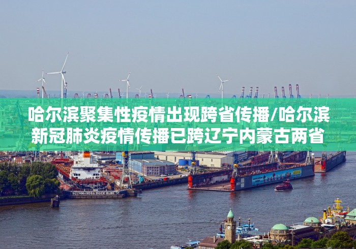 哈尔滨聚集性疫情出现跨省传播/哈尔滨新冠肺炎疫情传播已跨辽宁内蒙古两省份