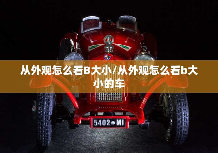 从外观怎么看B大小/从外观怎么看b大小的车