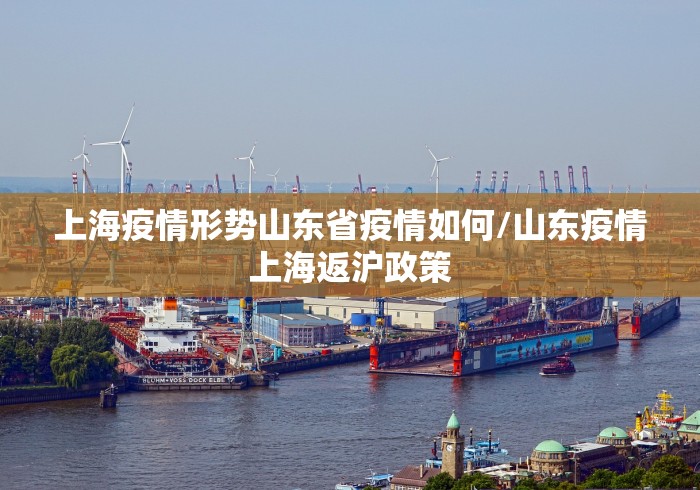 上海疫情形势山东省疫情如何/山东疫情上海返沪政策