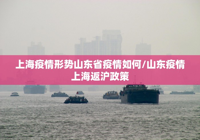 上海疫情形势山东省疫情如何/山东疫情上海返沪政策