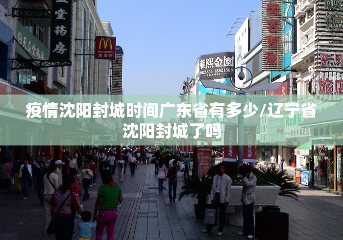 疫情沈阳封城时间广东省有多少/辽宁省沈阳封城了吗