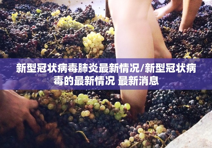 新型冠状病毒肺炎最新情况/新型冠状病毒的最新情况 最新消息