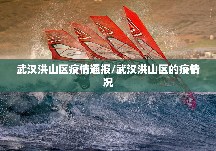 武汉洪山区疫情通报/武汉洪山区的疫情况