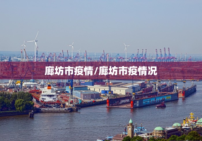 廊坊市疫情/廊坊市疫情况