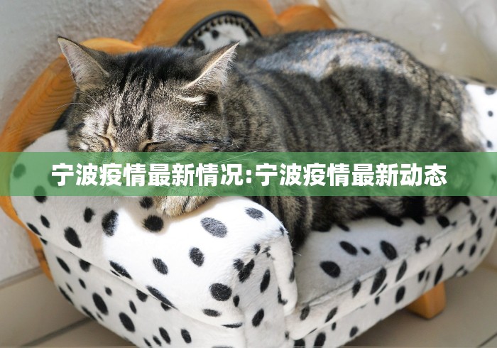 宁波疫情最新情况:宁波疫情最新动态 宁波疫情最新情况:宁波疫情最新动态