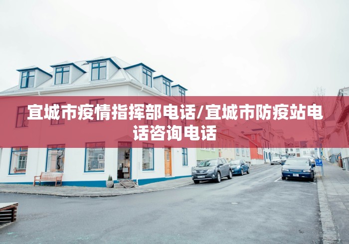 宜城市疫情指挥部电话/宜城市防疫站电话咨询电话 宜城市疫情指挥部电话/宜城市防疫站电话咨询电话