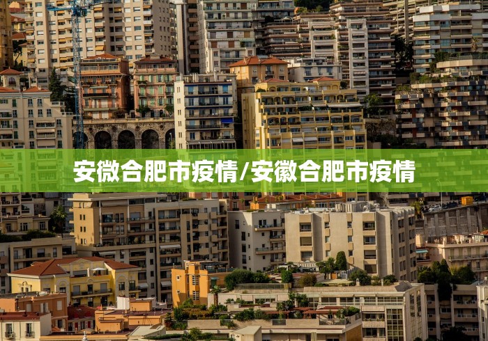 安微合肥市疫情/安徽合肥市疫情
