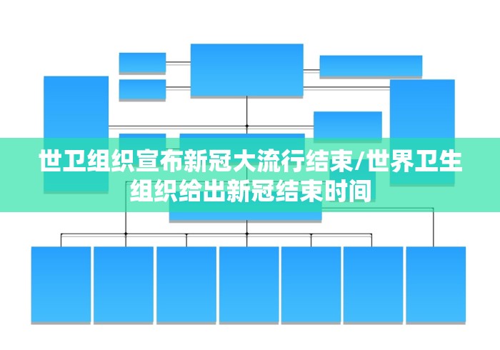 世卫组织宣布新冠大流行结束/世界卫生组织给出新冠结束时间