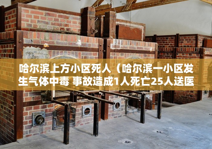 哈尔滨上方小区死人（哈尔滨一小区发生气体中毒 事故造成1人死亡25人送医）