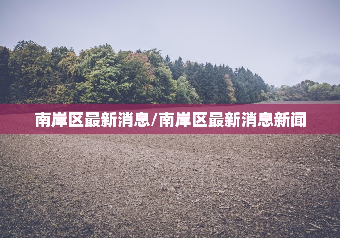 南岸区最新消息/南岸区最新消息新闻