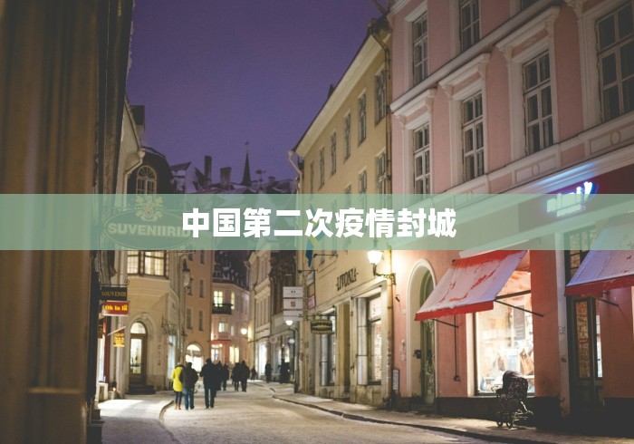 中国第二次疫情封城