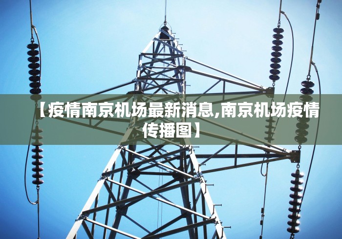 【疫情南京机场最新消息,南京机场疫情传播图】