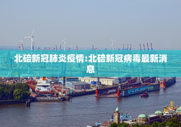 北碚新冠肺炎疫情:北碚新冠病毒最新消息
