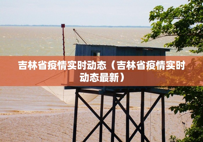 吉林省疫情实时动态(吉林省疫情实时动态最新)