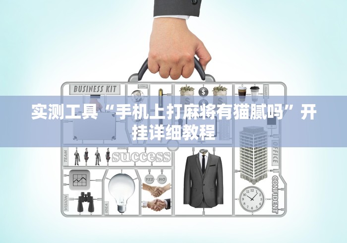 实测工具“手机上打麻将有猫腻吗”开挂详细教程