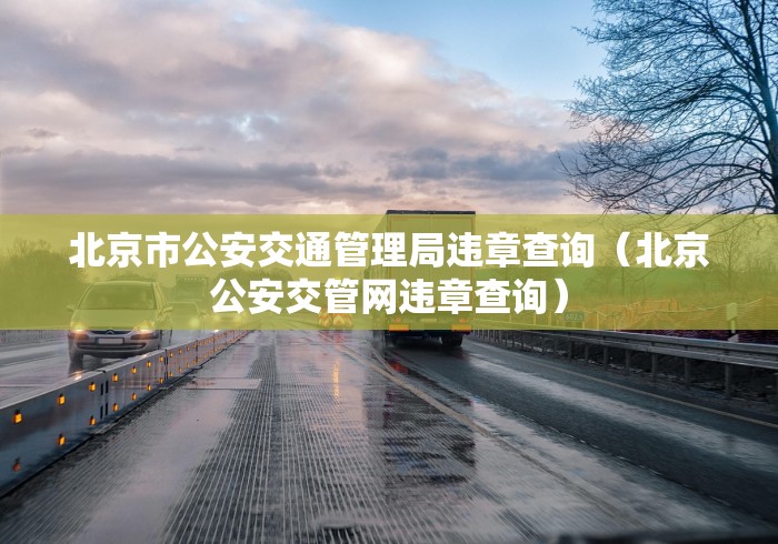 北京市公安交通管理局违章查询（北京公安交管网违章查询）