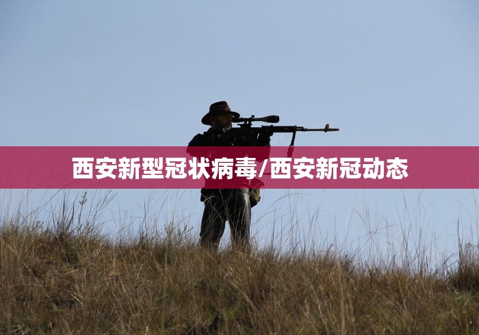 西安新型冠状病毒/西安新冠动态