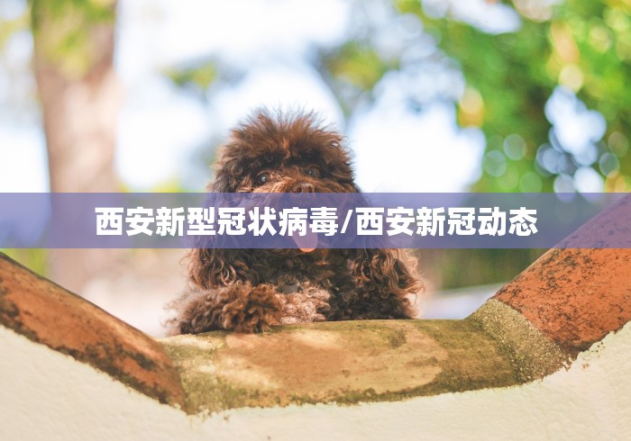 西安新型冠状病毒/西安新冠动态