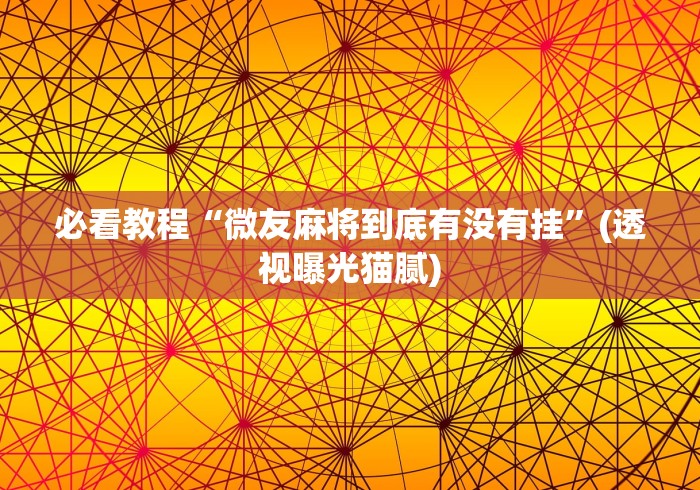 必看教程“微友麻将到底有没有挂”(透视曝光猫腻)