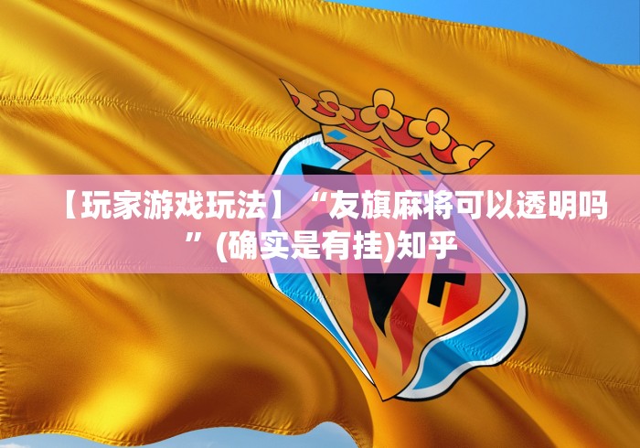 【玩家游戏玩法】“友旗麻将可以透明吗”(确实是有挂)知乎