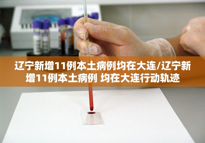 辽宁新增11例本土病例均在大连/辽宁新增11例本土病例 均在大连行动轨迹